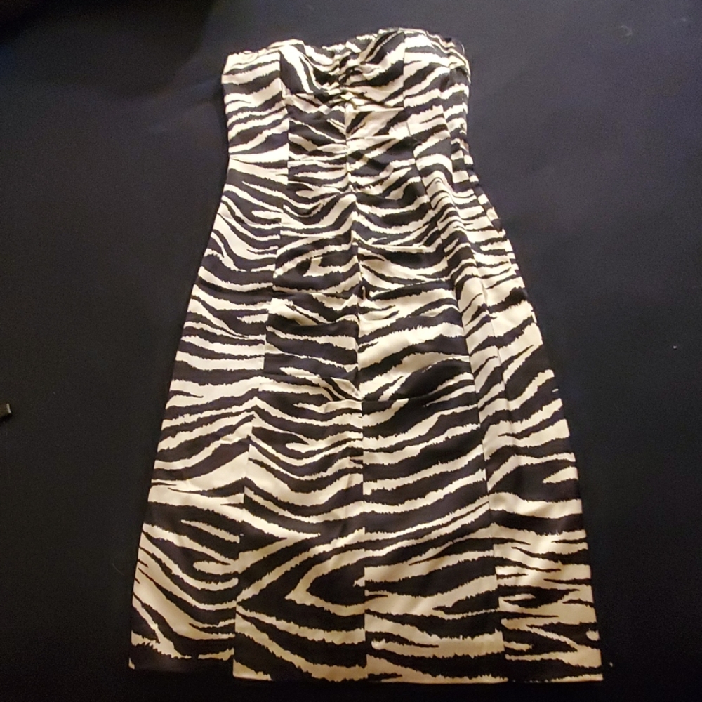 Satin Zebra Ruched Strapless Dress from Cache